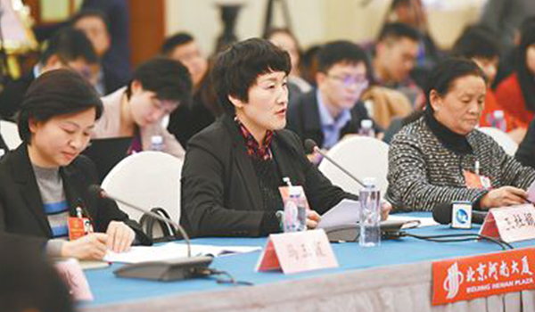 圖片報道：人大代表王杜娟發(fā)言