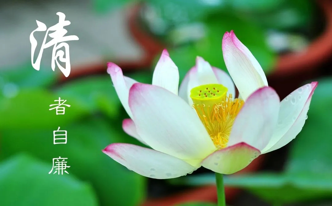 培育廉潔文化 建設(shè)“六廉”工作室 風(fēng)清氣正好行船